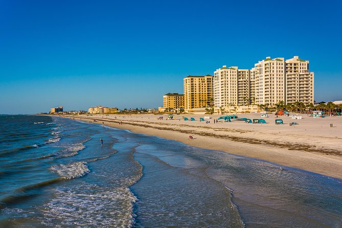 Clearwater Beach Bus Express - Price and Value: Is $100 Worth It?