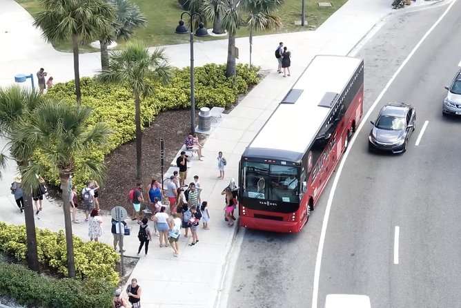 Clearwater Beach Bus Express - Driver/Guide and On-the-Ground Help (Including Kevin)