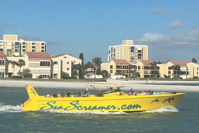 Clearwater Beach Day Trip from Orlando with Upgrade Options - Encounters With Dolphins: the dolphin plan that keeps getting picked