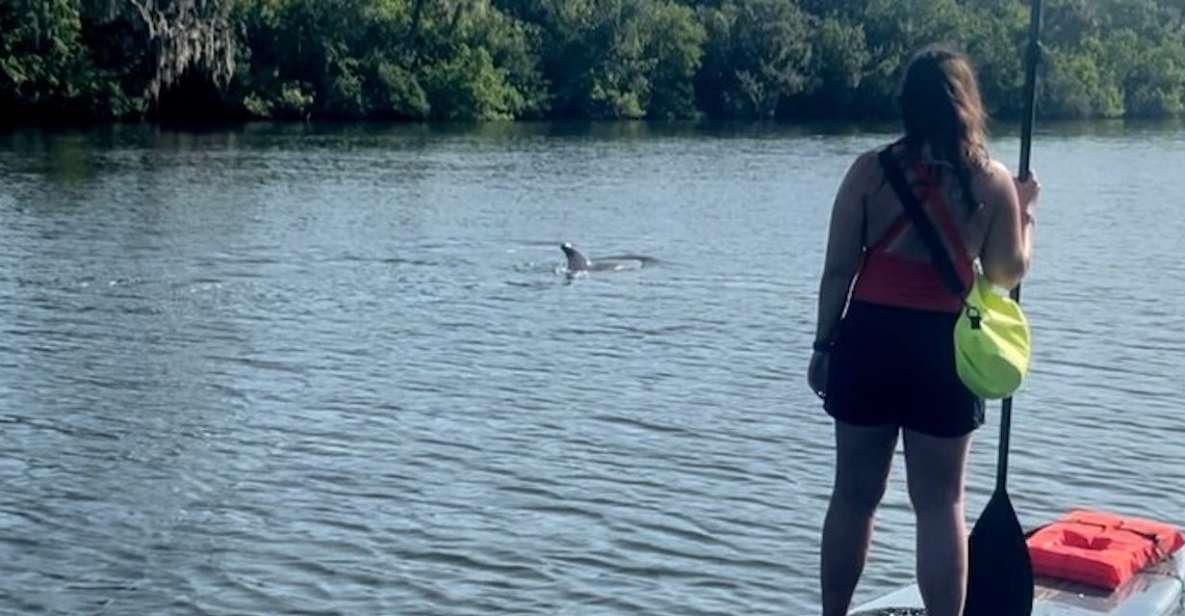 Cocoa Beach: Dolphin and Manatee Kayak or Paddle Tour - Your 2-hour paddle route: what the ride includes and why it matters