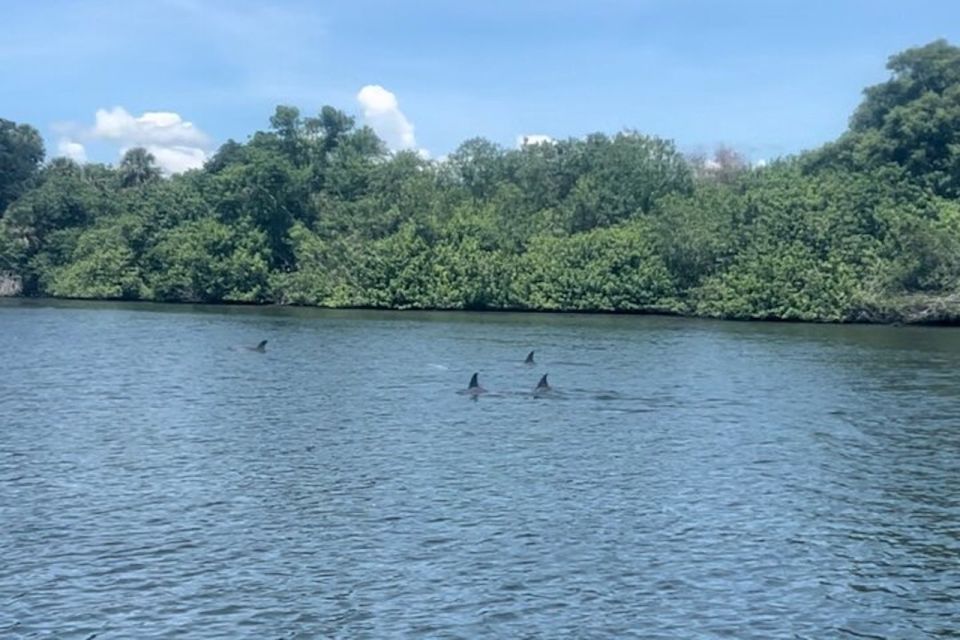 Cocoa Beach: Dolphin and Manatee Kayak or Paddle Tour - Meeting at 4800 Tom Warriner Blvd: simple logistics that can make or break your day