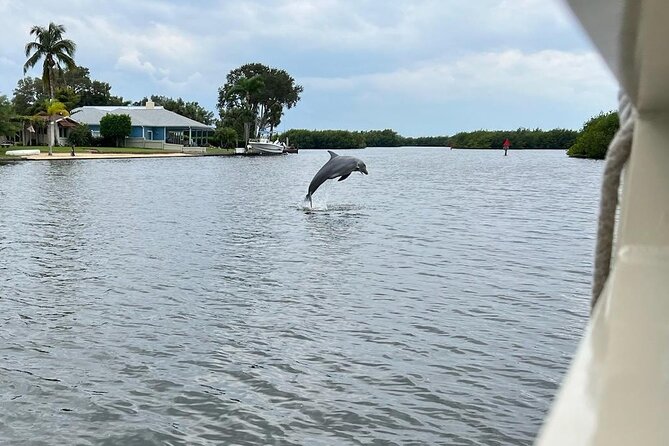 Cocoa Beach Dolphin and Wildlife Tour - Your 2 Hours on the Water: What to Expect on the Cocoa Beach Estuary Route