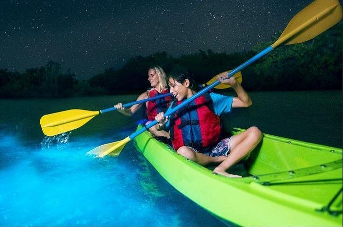 Cocoa Beach Night Time Bioluminescence Kayak Tour - Single vs. 2-person kayaks: choosing what fits your comfort level