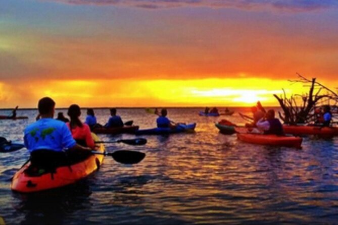 Cocoa Beach Night Time Bioluminescence Kayak Tour - Price and value: is $79 a good deal for this kind of night?