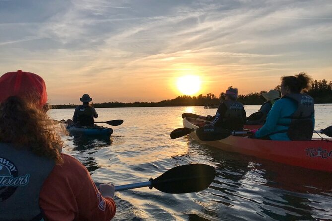 Comb Jelly Bioluminescence Kayak Tour - Why Comb Jellies Glow—and Why a Kayak Is the Right Way