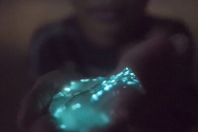 Comb Jelly Bioluminescence Kayak Tour - Paddling Protected Lagoon Water After Dark