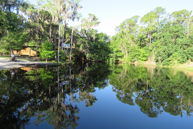 Cypress Forest: Guided Nature Kayak Eco-Tour - Why Shingle Creek Feels Like a Real Nature Escape