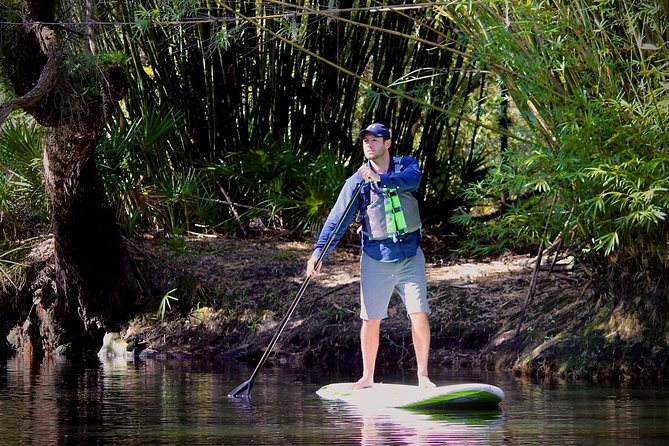 Cypress Forest: Guided Nature Kayak Eco-Tour - Wildlife on This Route: What You Might See and How to Look