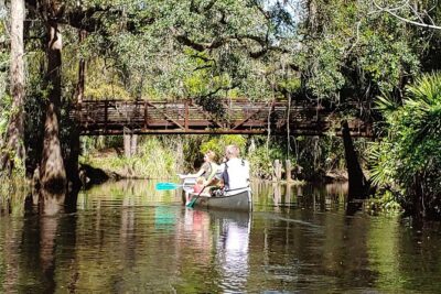 Cypress Forest: Guided Nature Kayak Eco-Tour - The 2-Hour Flow: Safety Talk, Quick Skills, Then Cypress Shade