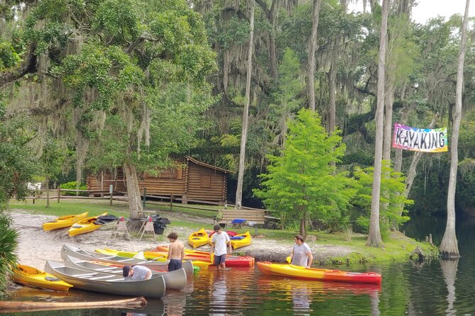 Cypress Forest: Guided Nature Kayak Eco-Tour - What to Wear and Bring for a Comfortable Paddle
