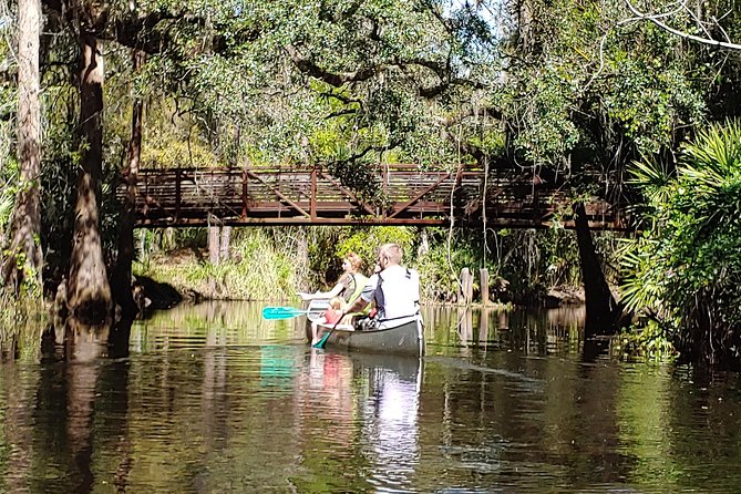 Cypress Forest: Guided Nature Kayak Eco-Tour - The 2-Hour Flow: Safety Talk, Quick Skills, Then Cypress Shade