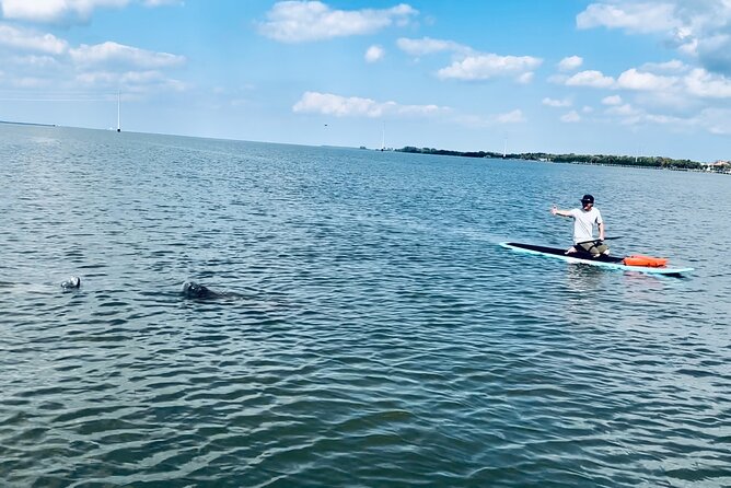 Dolphin and Manatee Adventure Tour of Merritt Island - Merritt Island’s Animal Game: Why This Trip Works
