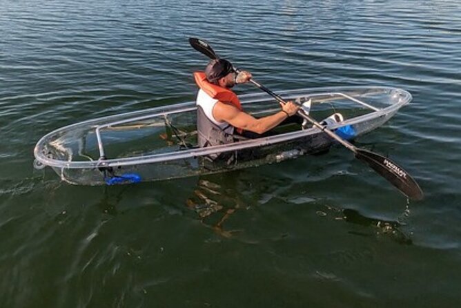 Dolphin and Manatee Clear Kayak or Paddleboard Tour - Sunset LED lighting: when the whole scene gets easier to read
