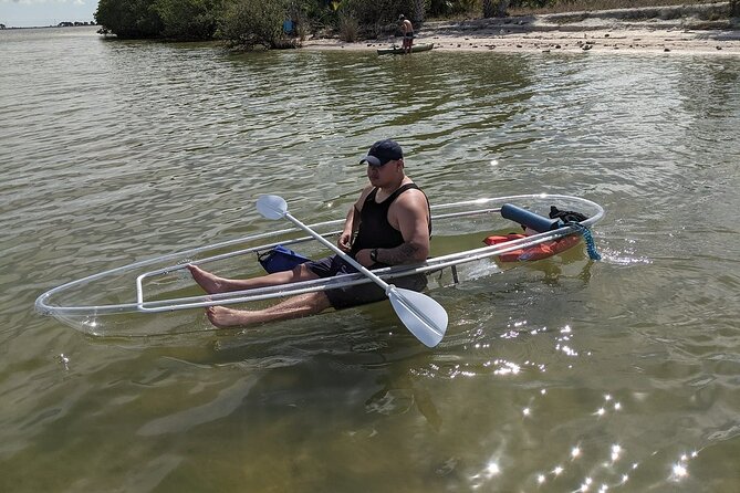 Dolphin and Manatee Clear Kayak or Paddleboard Tour - Price and value: is $75 a smart deal?