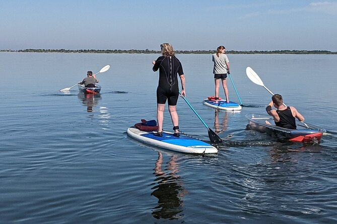 Dolphin and Manatee Clear Kayak or Paddleboard Tour - Who should book this clear kayak or SUP tour