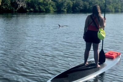 Dolphin and Manatee Kayak and SUP Adventure Tour of Cocoa Beach - SUP or kayak: the comfort and control trade-off