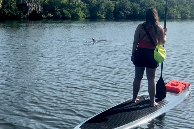 Dolphin and Manatee Kayak and SUP Adventure Tour of Cocoa Beach - SUP or kayak: the comfort and control trade-off