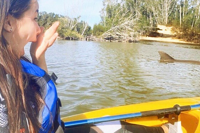 Dolphin & Manatee Kayaking Tour in Orlando Area - Key highlights worth planning around