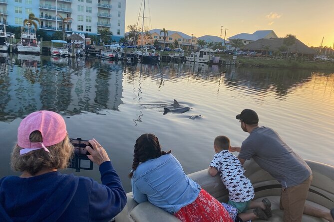 Dolphin/Manatee Pontoon Boat Tour with Local Expert - Key highlights you should know before you go