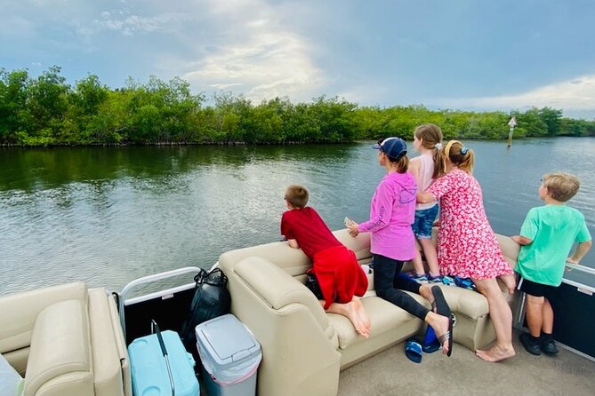 Dolphin/Manatee Pontoon Boat Tour with Local Expert - 4:00 pm on Merritt Island: the timing and meeting point