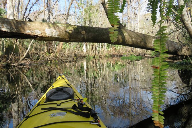 Exclusive Nature Escape Kayak Adventure on Blackwater Creek - Key things you’ll love on Blackwater Creek
