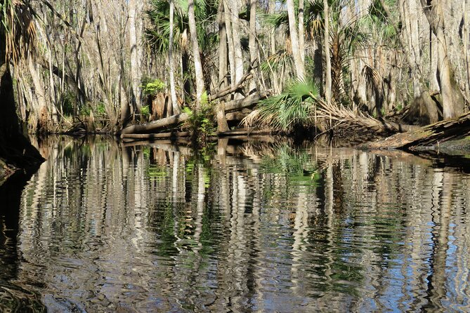 Exclusive Nature Escape Kayak Adventure on Blackwater Creek - Seminole State Forest: where learning happens on the move