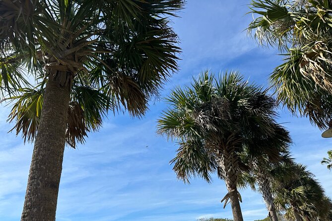 Experience Wild Florida Nature Up Close on Electric Trike (2 hrs) - Stop 2: Lakefront Park with pavilion views, beach time, and all the little breaks