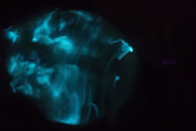 Florida Bioluminescence Clear Kayak tour/ Beacon 42 (Titusville) - Who should book this, and who might want a different option