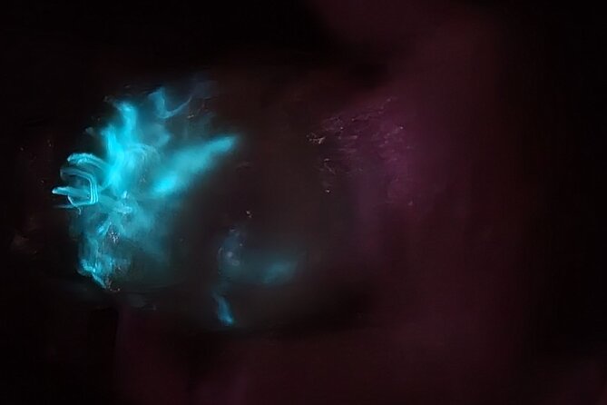 Florida Bioluminescence Clear Kayak tour/ Beacon 42 (Titusville) - Weather, meetings, and the stuff that can make or break the night