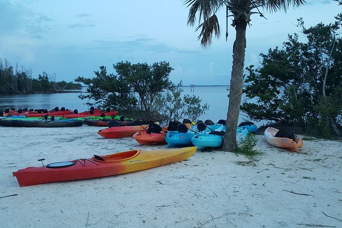 Florida Bioluminescence Kayaking Tour (Titusville) - Indian River Lagoon or Banana River: how that affects what you’ll see