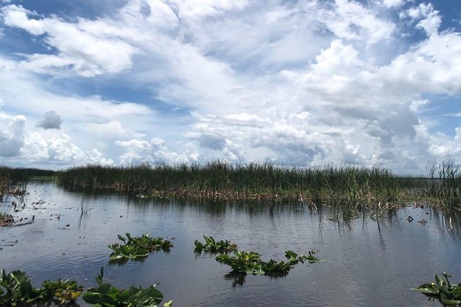 Florida Everglades Airboat Tour and Wild Florida Admission with Optional Lunch - 30 minutes vs 1 hour: choosing the boat time that fits you