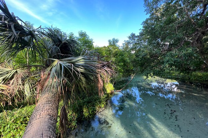 Florida paddle excursions - What You’re Really Buying for $60: 2 Hours on Florida Water