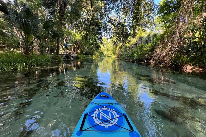 Florida paddle excursions - Emerald Cut Outbound: The Paddle That Feels Like Work (In a Good Way)