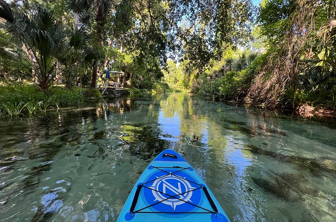 Florida paddle excursions - Seat + Paddle Options: Tiny Choices That Make a Difference