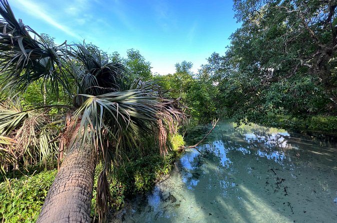 Florida paddle excursions - Turning Around and Floating Back: Why the Second Half Feels Easier