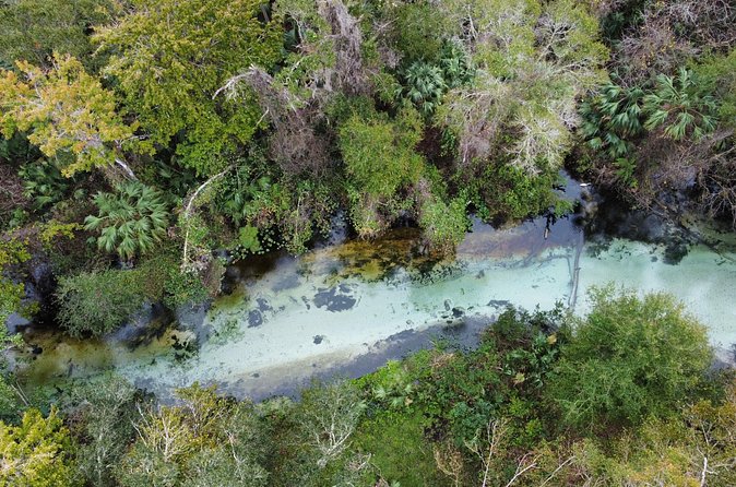 Florida paddle excursions - Your Guide Matters: Ashley’s Effect on the Whole Trip