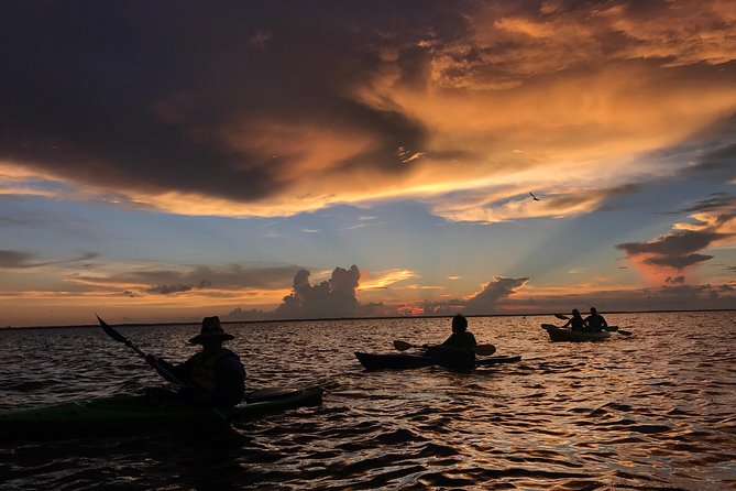 Florida Sunset and Bioluminescence Package - Key Highlights You’ll Actually Care About