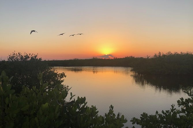 Florida Sunset and Bioluminescence Package - When the Water Starts Glowing: How Plankton Watching Really Works