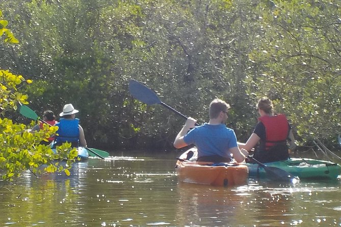Fully Guided Kayaking Backwater Manatee and Dolphin Tour - Wildlife Expectations: How to Think About a Good Outcome