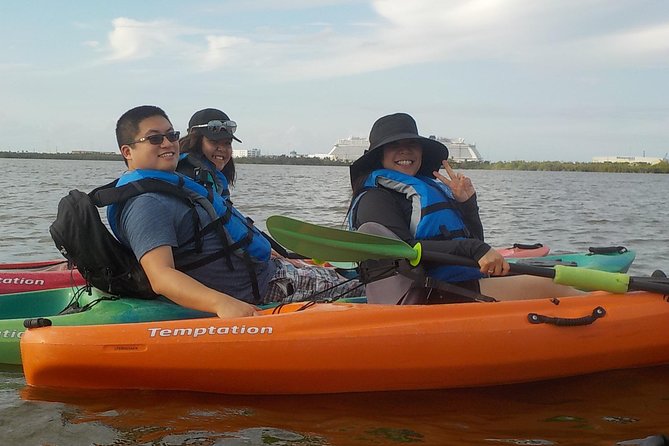 Fully Guided Kayaking Backwater Manatee and Dolphin Tour - Who Should Book This Kayak Tour (and Who Might Not)