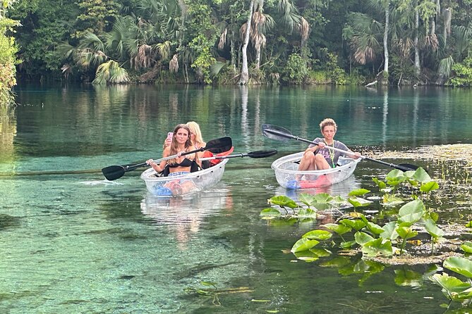 Gator Viewing Clear Kayak Springs Tour - Key takeaways before you go