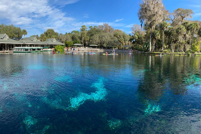 Gator Viewing Clear Kayak Springs Tour - Clear Kayak Alligator Viewing at Silver Springs: The Setup