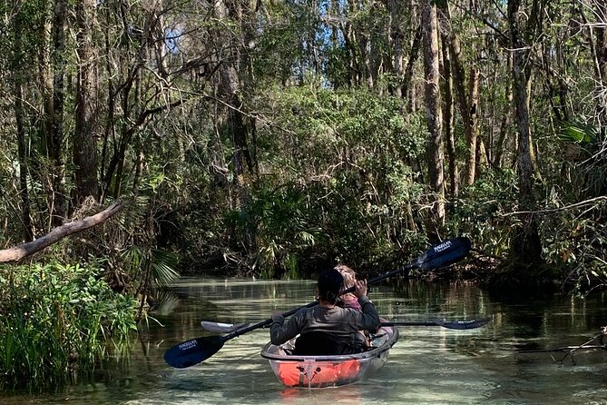 Glass Bottom Kayak Eco Tour through Rainbow Springs - Key Points You’ll Care About