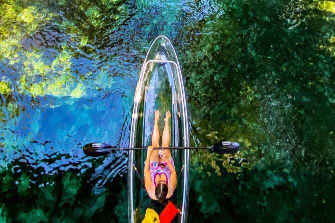 Glass Bottom Kayak Tours of Silver Springs - Who This Tour Is Perfect For