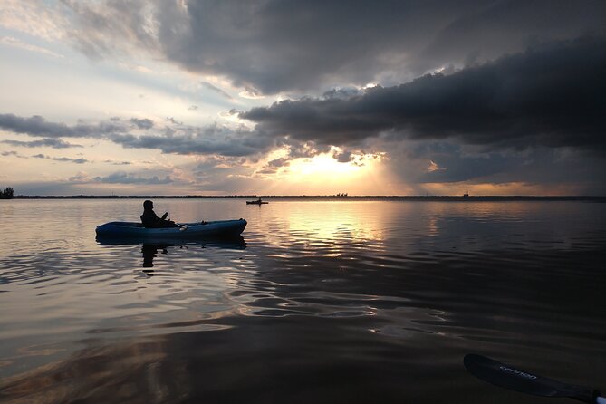 Guided Kayak Tour with Manatee & Dolphin Sightings - Manatee cove and wildlife watching: dolphins, manatees, and more sea life