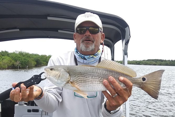 Guided Two Hour Boat Tour of the Indian River Lagoon - Merritt Island National Wildlife Refuge by water: where the habitat stories land