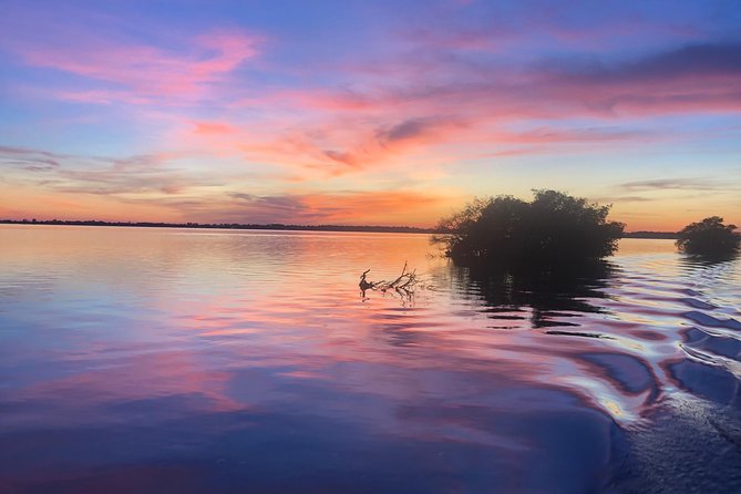 Guided Two Hour Boat Tour of the Indian River Lagoon - Wildlife sightings: dolphins, manatees, alligators, and birds in real life