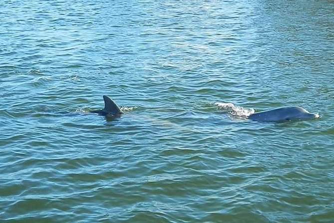 Guided Two Hour Boat Tour of the Indian River Lagoon - Finding the boat at 2550 N Banana River Dr (Merritt Island)