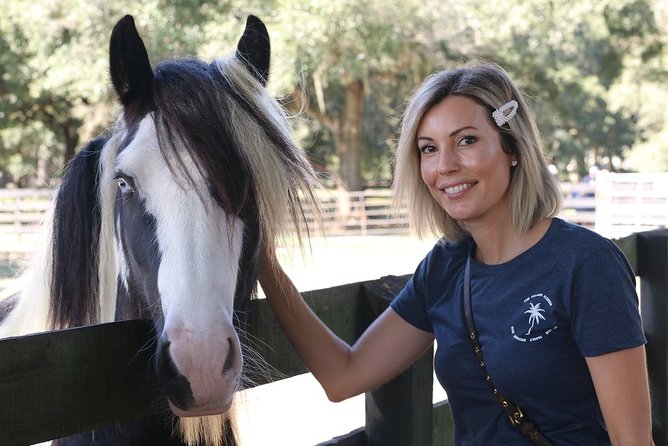 Gypsy Gold Horse Farm Tour - The Spanish moss paddock walk: pretty setting, but also useful learning time