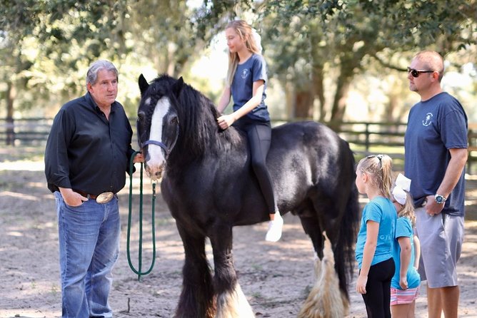 Gypsy Gold Horse Farm Tour - Photo time with a Gypsy Vanner stallion